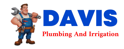 Trusted plumber in IMLAY